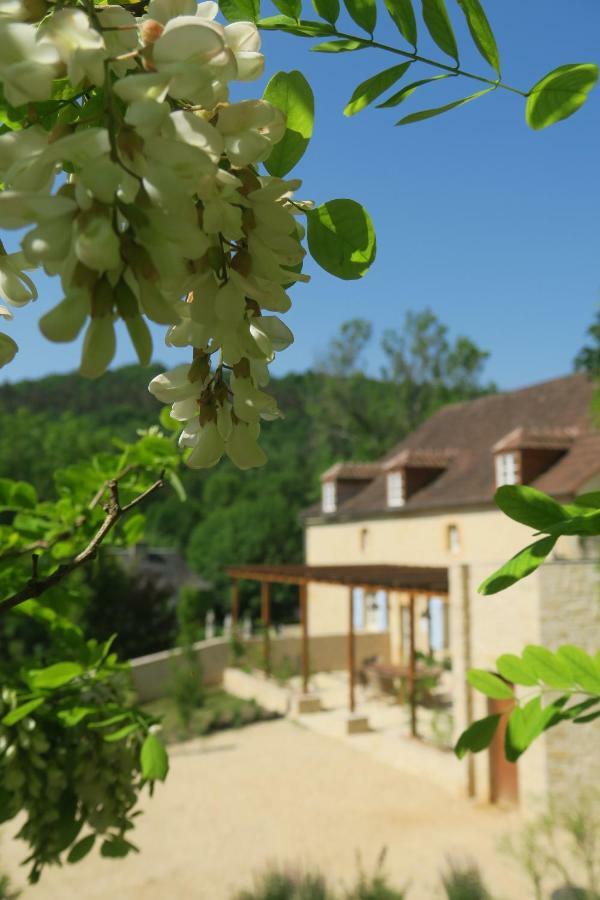 Maison Du Cedre Auriac-du-Perigord Exterior photo
